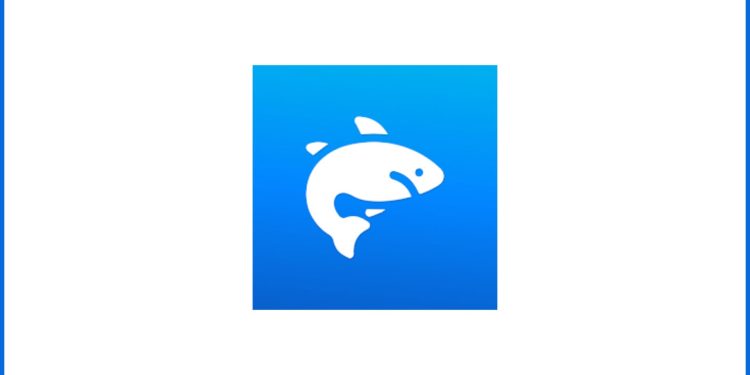 Shark VPN: Fast, Secure Proxy