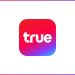 True