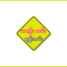 Safe Driving